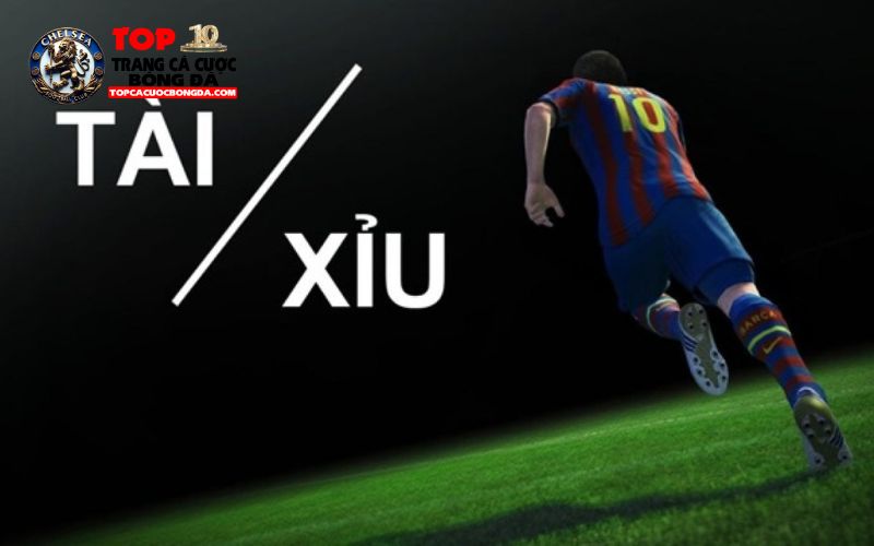 Cách hiểu cụ thể về kèo tài xỉu là gì Cách hiểu cụ thể về kèo tài xỉu là gì